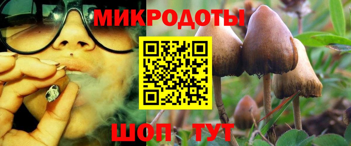 Галлюциногенные грибы прущие грибы Краснодар