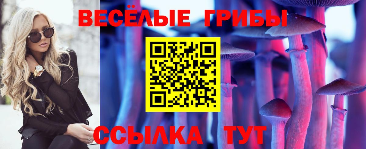 Псилоцибиновые грибы Cubensis  Вход с VPN  Краснодар 